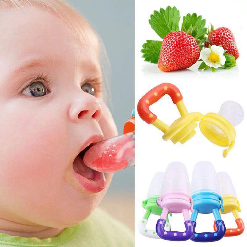 Fruit Pacifier