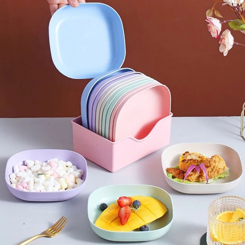 10 PIECE PLATE SET